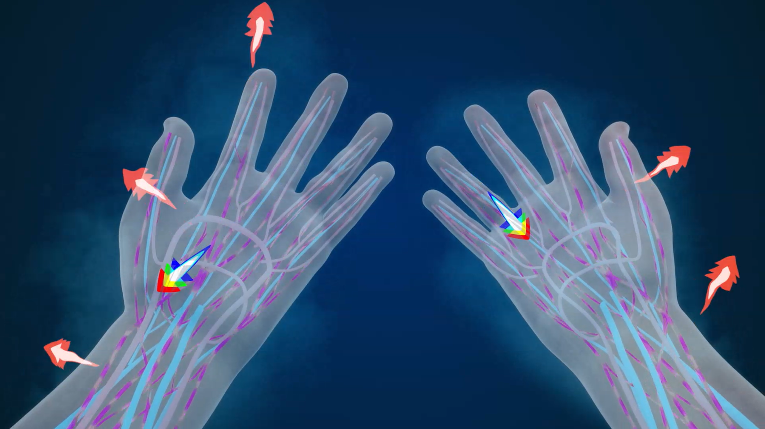 What is Glabrous Skin?