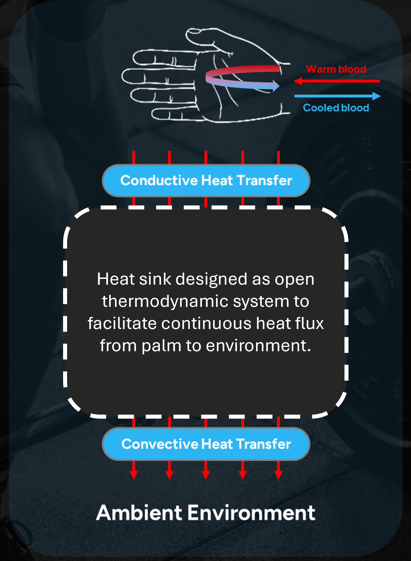 Palm cooling design flow chart